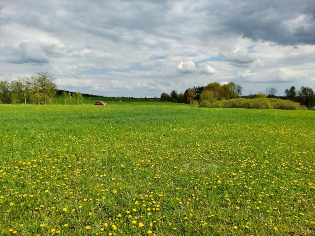 Działka budowlana 3003 m², Jeziorko - zdjęcie 8