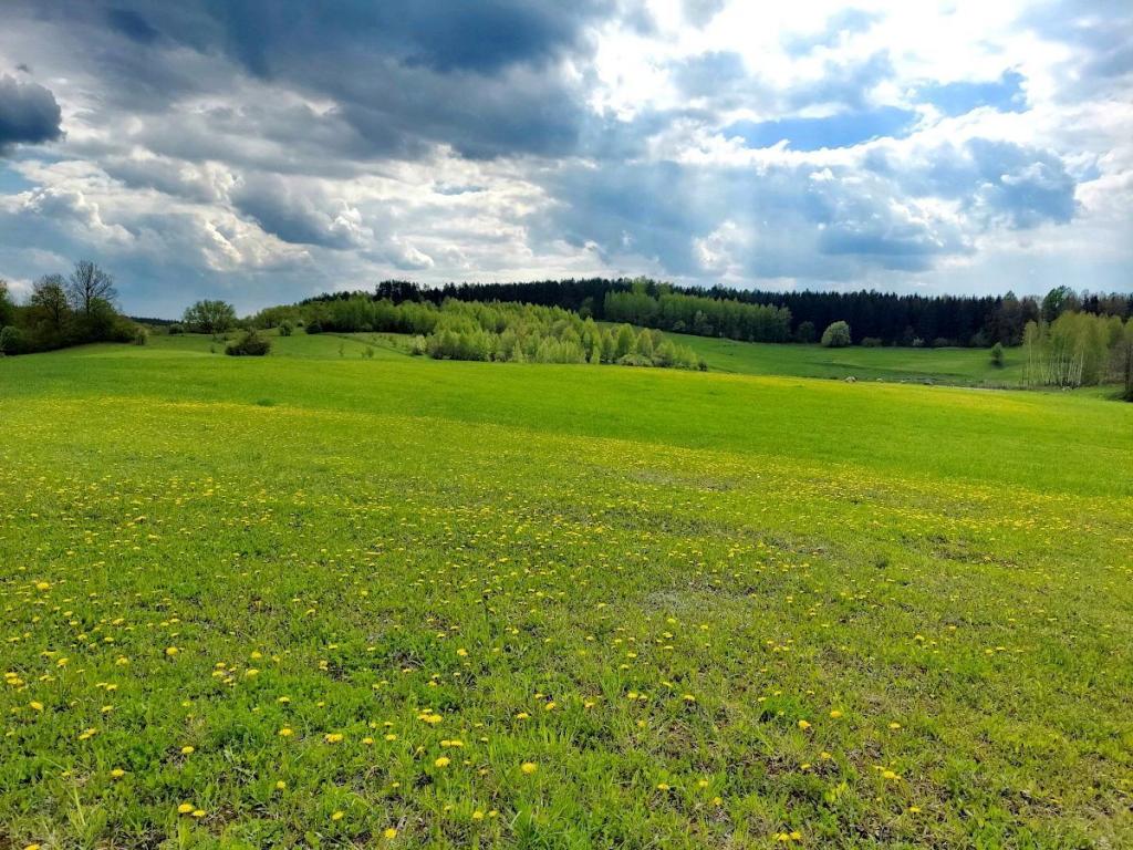 Działka budowlana 3003 m², Jeziorko - zdjęcie 3
