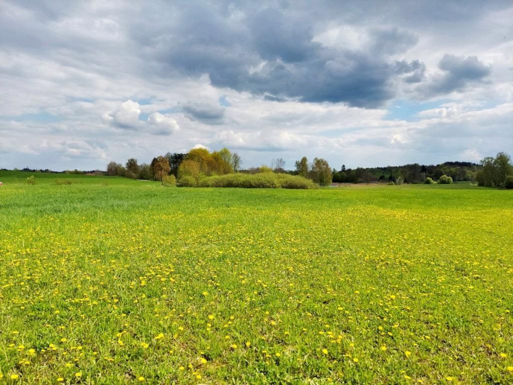 Działka budowlana 3003 m², Jeziorko - zdjęcie 11