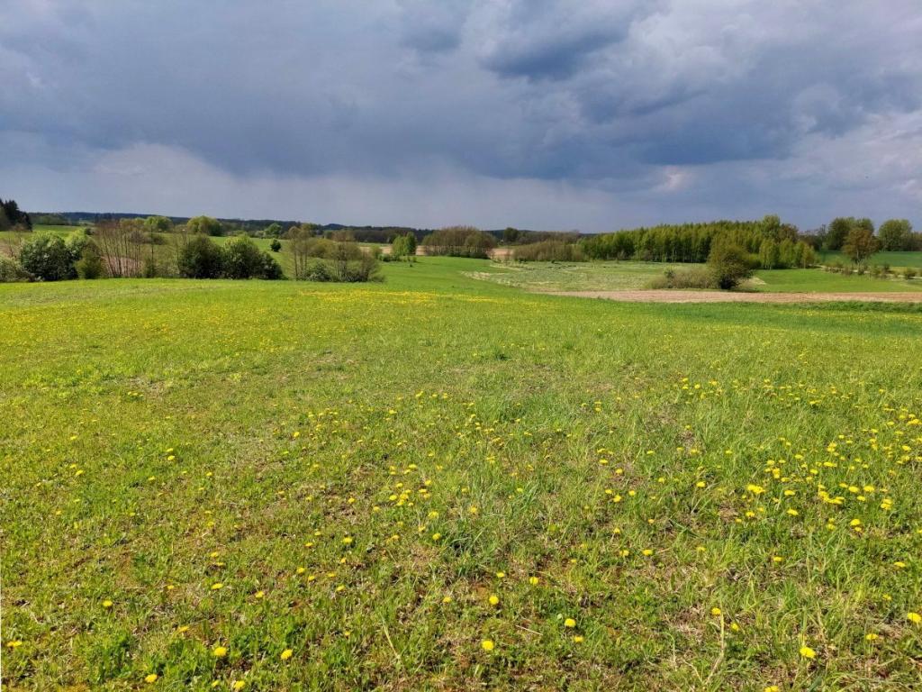 Działka budowlana 3003 m², Jeziorko - zdjęcie 16