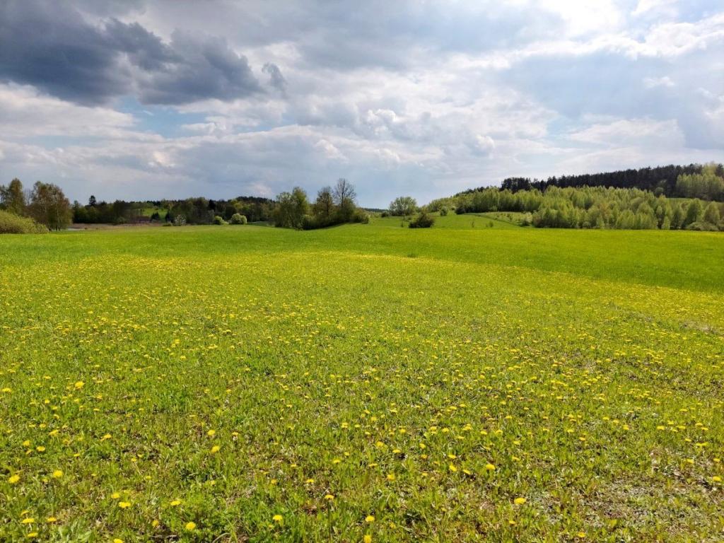Działka budowlana 3003 m², Jeziorko - zdjęcie 14