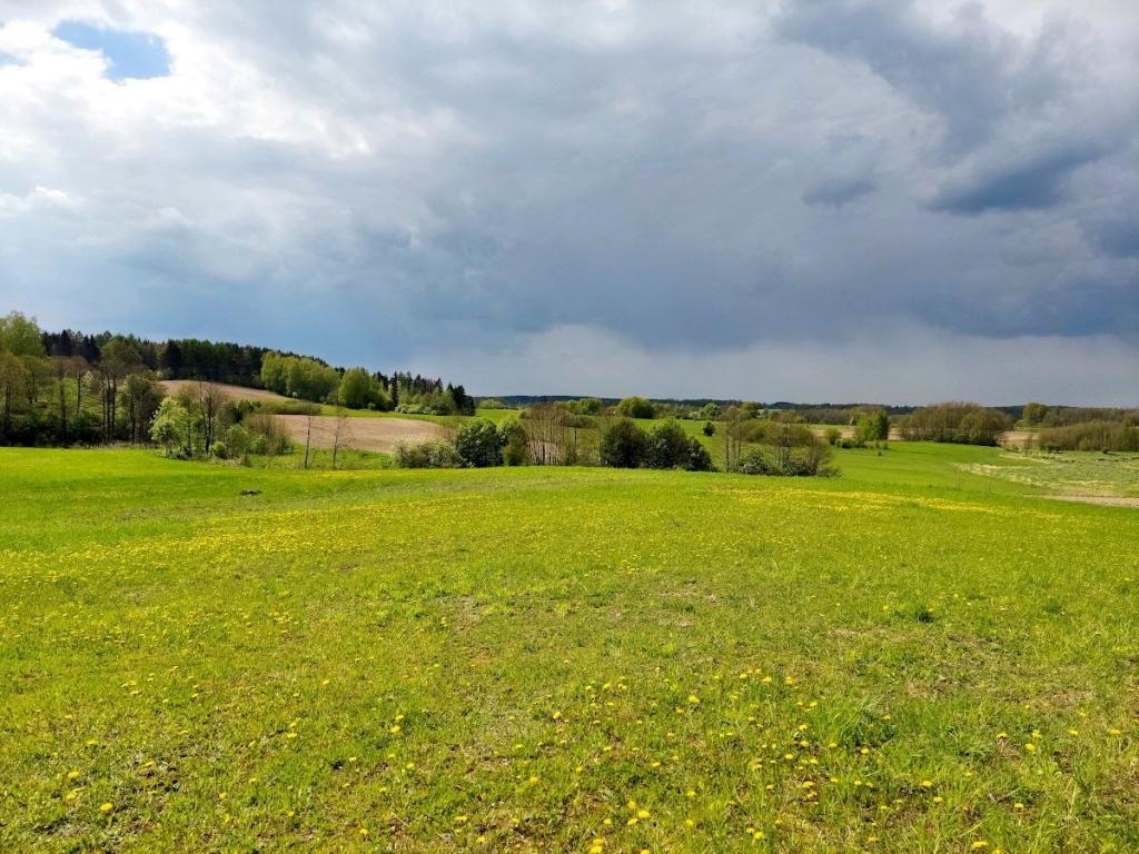 Działka budowlana 3003 m², Jeziorko - zdjęcie 12