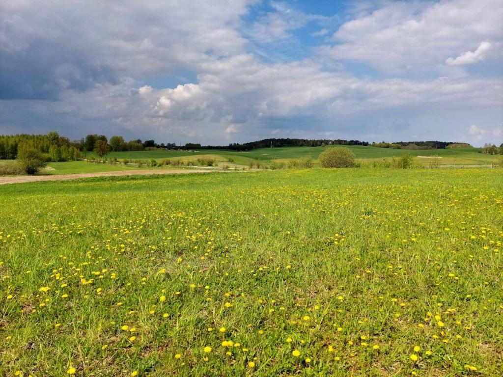 Działka budowlana 3003 m², Jeziorko - zdjęcie 15