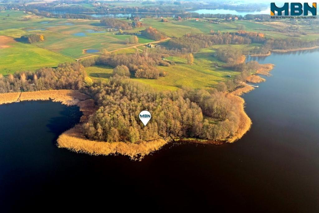 Działka rekreacyjna 8787 m², Wyszowate - zdjęcie 4