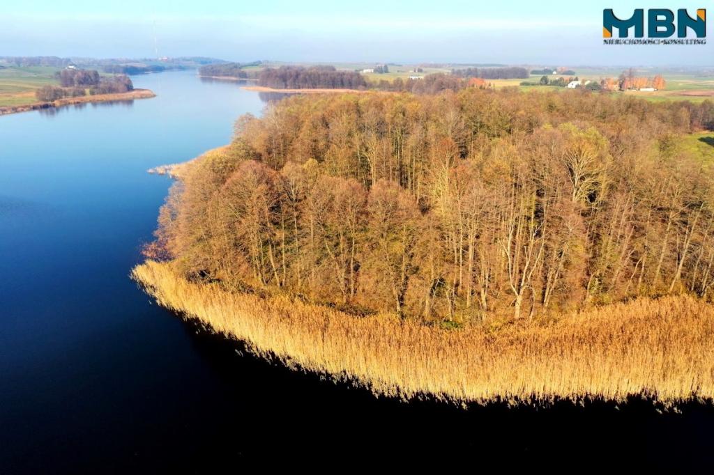 Działka rekreacyjna 8787 m², Wyszowate - zdjęcie 12