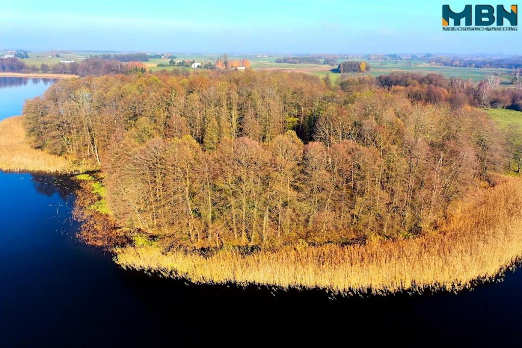 Działka rekreacyjna 8787 m², Wyszowate - zdjęcie 11