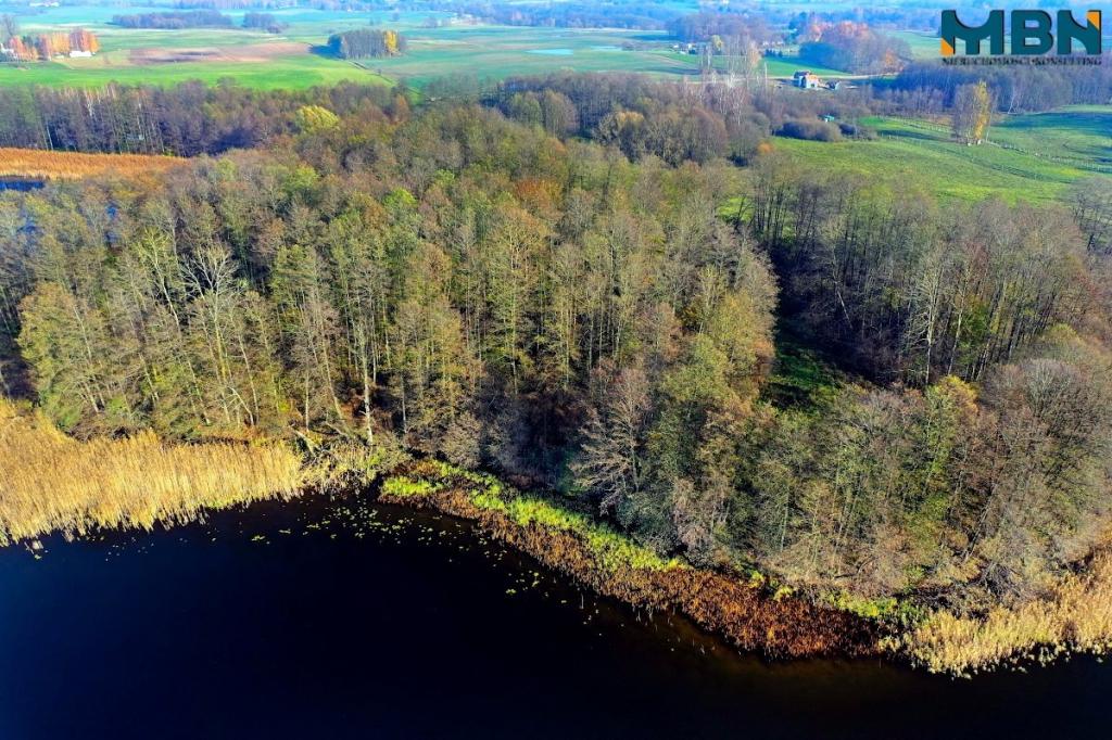 Działka rekreacyjna 8787 m², Wyszowate - zdjęcie 9