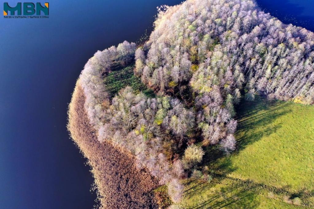 Działka rekreacyjna 8787 m², Wyszowate - zdjęcie 8