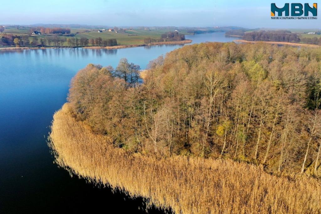 Działka rekreacyjna 8787 m², Wyszowate - zdjęcie 13