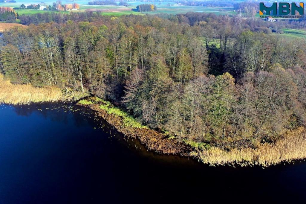 Działka rekreacyjna 8787 m², Wyszowate - zdjęcie 10