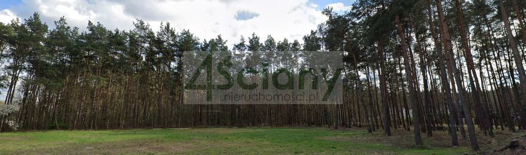 Działka budowlana 6050&nbsp;m², Długa Szlachecka - zdjęcie 1