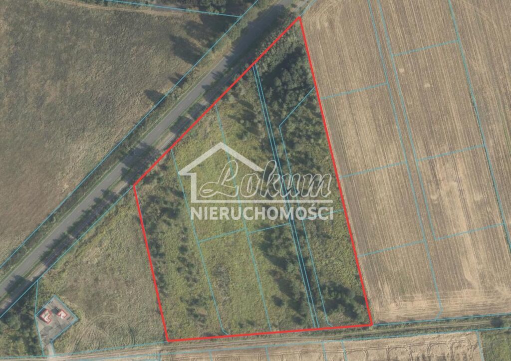 Działka rolna 3,23&nbsp;ha, Żółwia Błoć - zdjęcie 8