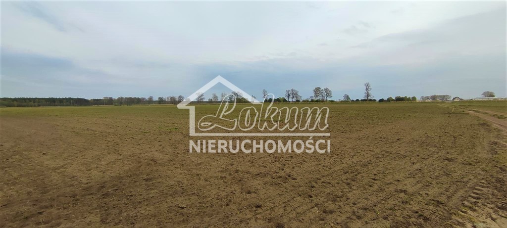 Działka budowlana 4258&nbsp;m², Lubczyna - zdjęcie 3