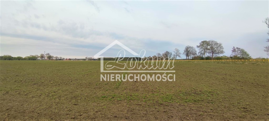 Działka budowlana 4258&nbsp;m², Lubczyna - zdjęcie 5