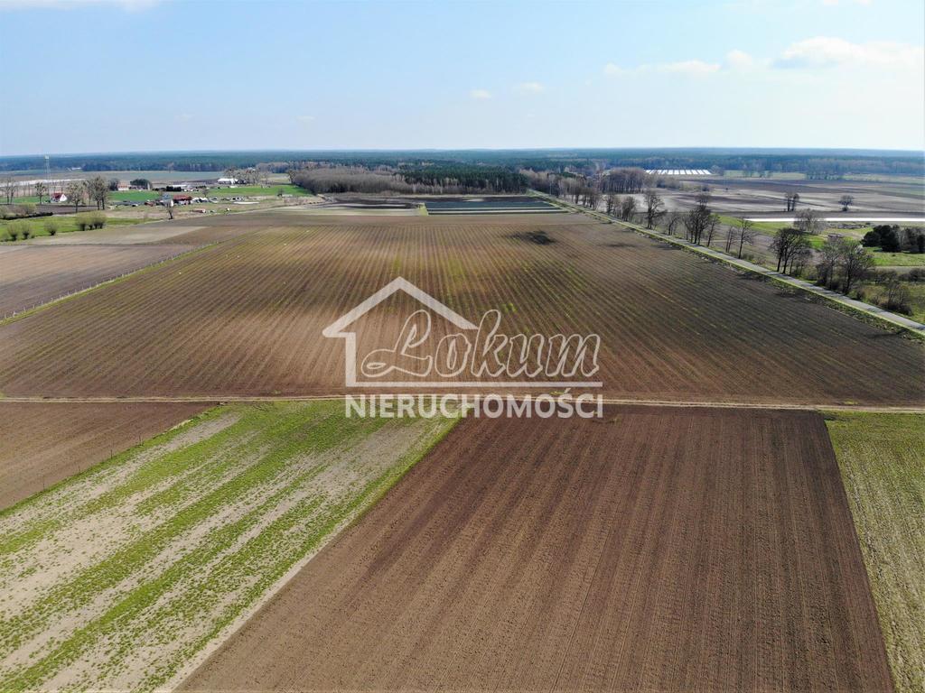 Działka budowlana 4258&nbsp;m², Lubczyna - zdjęcie 1