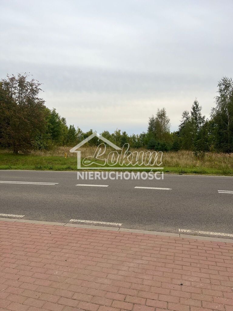 Działka rolna 18,03&nbsp;m², Storkowo - zdjęcie 2
