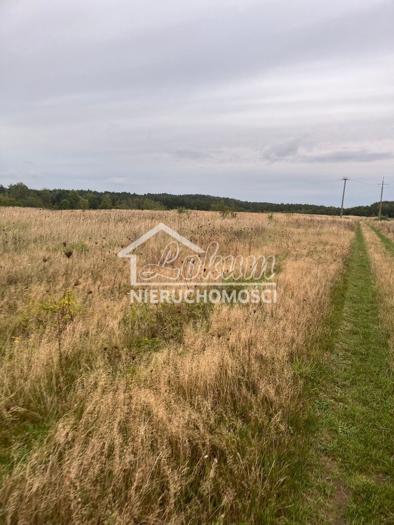 Działka rolna 18,03&nbsp;m², Storkowo - zdjęcie 3