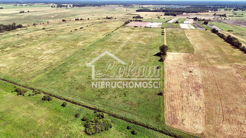 Działka rolna 6,60&nbsp;ha, Komarowo - zdjęcie 6