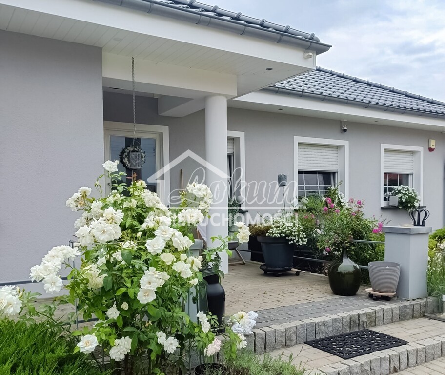 Dom 160 m², Święte - zdjęcie 12