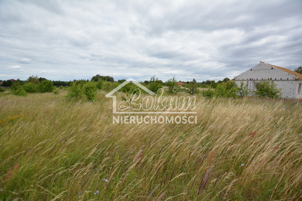Działka rolna 3166&nbsp;m², Wąwelnica - zdjęcie 3