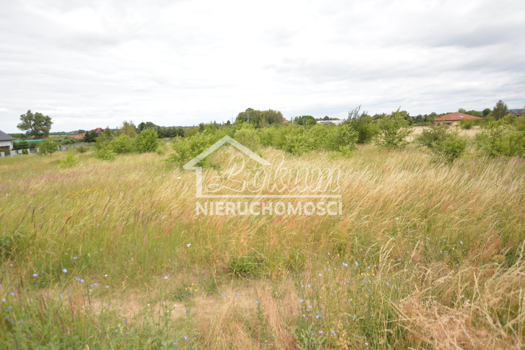 Działka rolna 3166&nbsp;m², Wąwelnica - zdjęcie 5