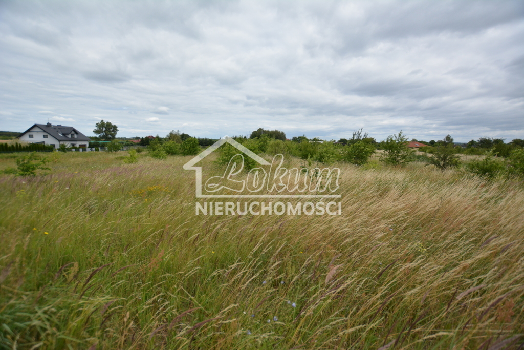 Działka rolna 3166&nbsp;m², Wąwelnica - zdjęcie 2