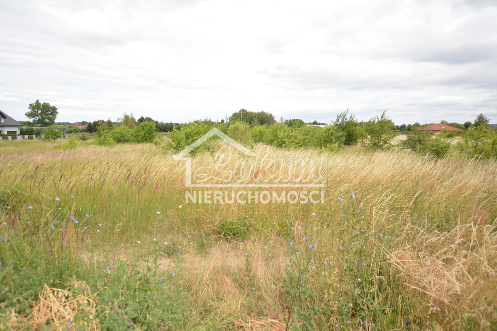 Działka rolna 3166&nbsp;m², Wąwelnica - zdjęcie 1