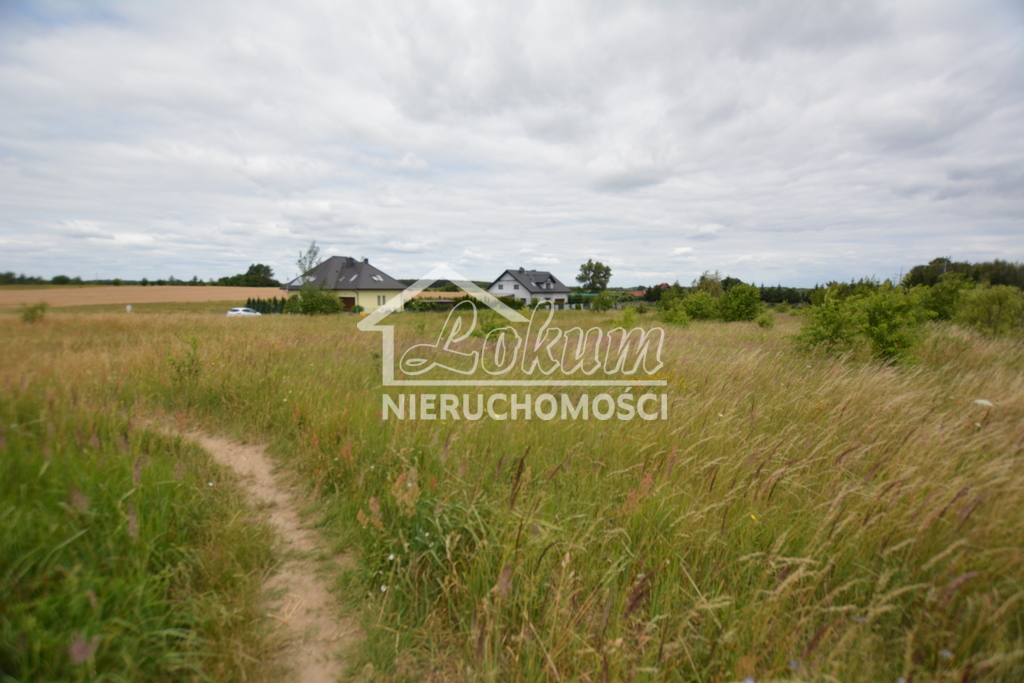 Działka rolna 3166&nbsp;m², Wąwelnica - zdjęcie 4