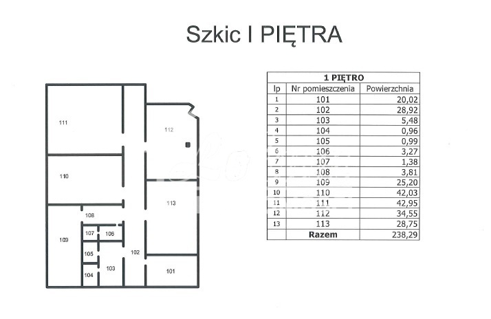 Lokal biurowy do wynajęcia, 240 m², Szczecin - zdjęcie 2