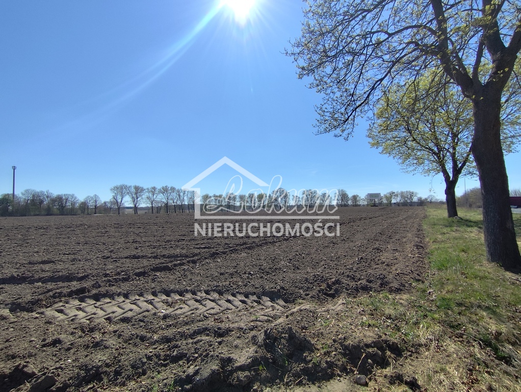 Działka inwestycyjna 1,67 ha, Wojcieszyn - zdjęcie 2