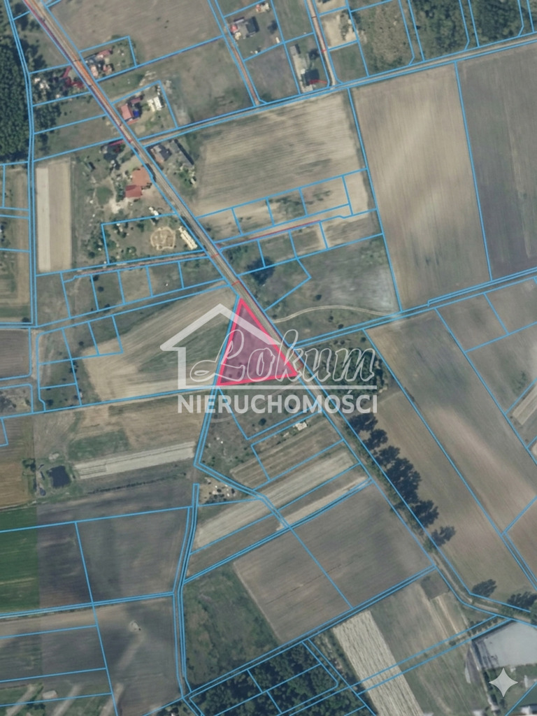 Działka budowlana 3700&nbsp;m², Lubczyna - zdjęcie 1