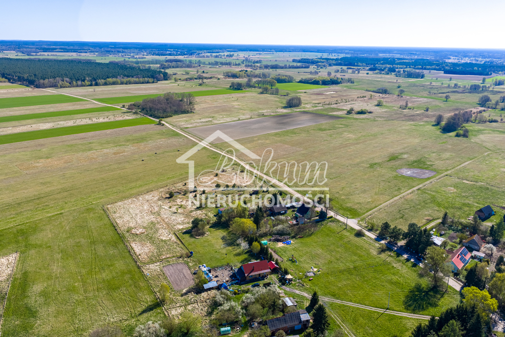 Działka budowlana 4350&nbsp;m², Gąsierzyno - zdjęcie 7