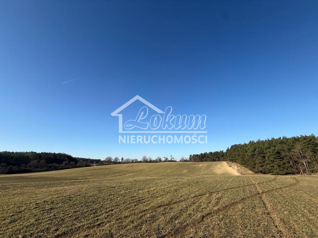 Działka budowlana 1031&nbsp;m², Buk - zdjęcie 1