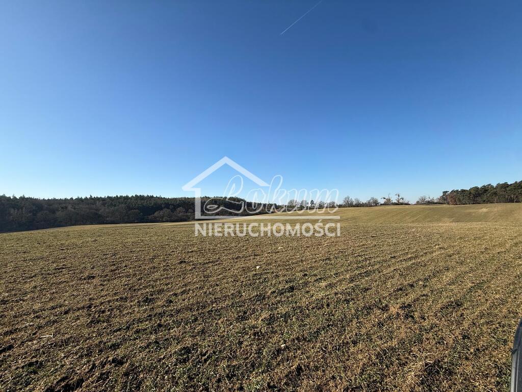 Działka budowlana 1031&nbsp;m², Buk - zdjęcie 2
