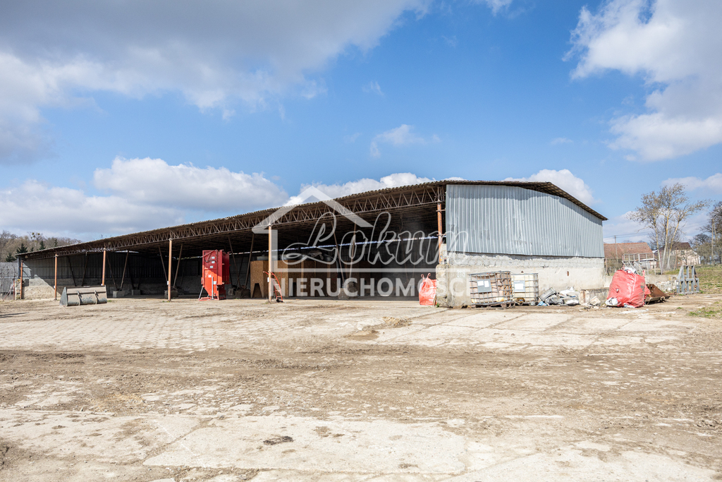 Lokal usługowy na sprzedaż, 4584&nbsp;m², Piaseczno - zdjęcie 19