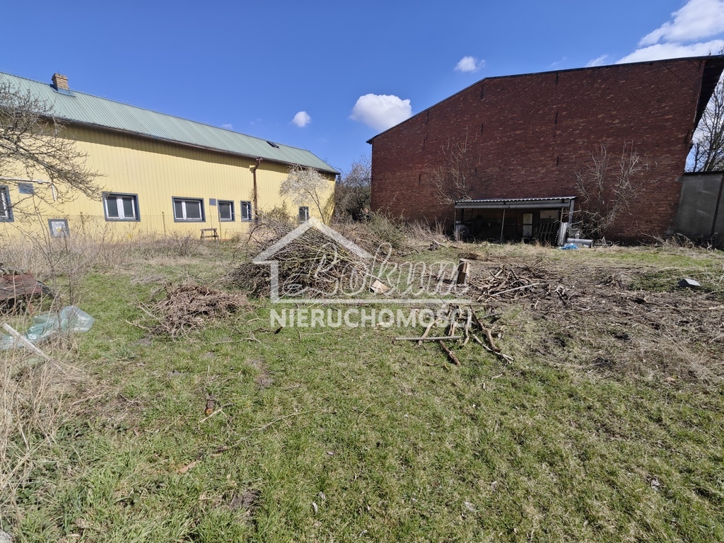 Działka budowlana 1627&nbsp;m², Pilchowo, Szczecińska - zdjęcie 16