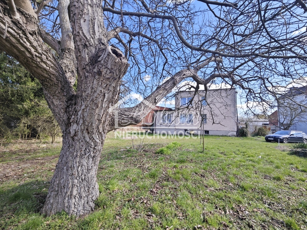 Działka budowlana 1807 m², Pilchowo, Szczecińska - zdjęcie 1