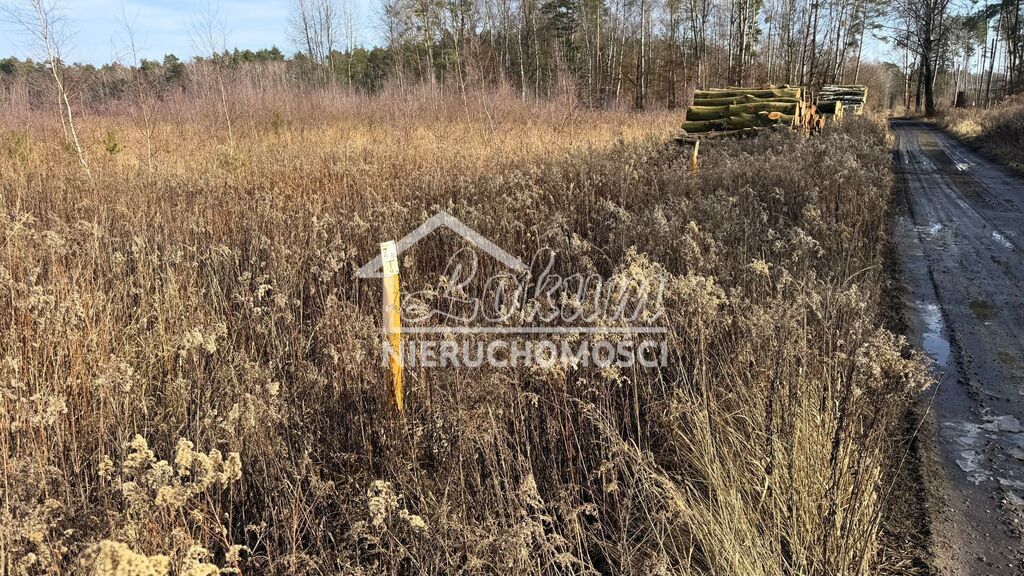 Działka rolna 1552&nbsp;m², Żółwia Błoć - zdjęcie 7