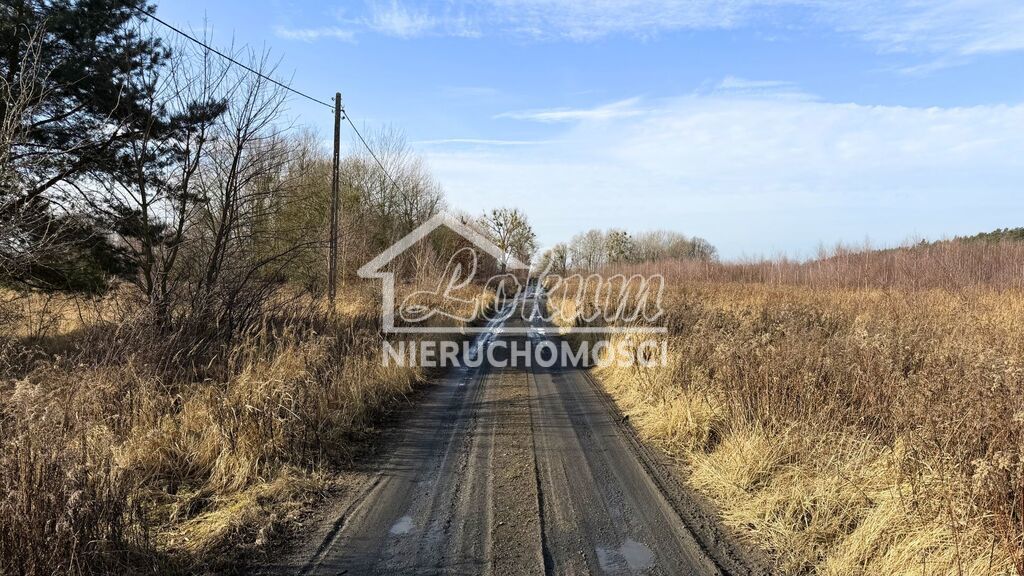 Działka rolna 1552&nbsp;m², Żółwia Błoć - zdjęcie 6