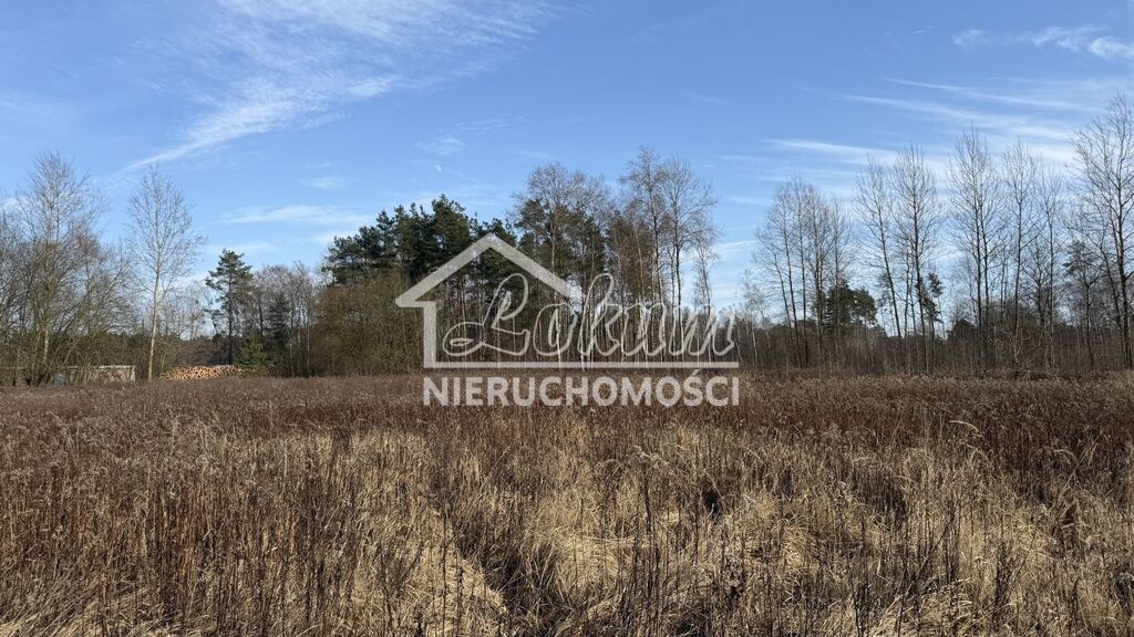 Działka rolna 1552&nbsp;m², Żółwia Błoć - zdjęcie 2