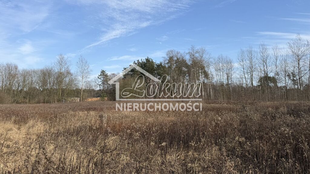 Działka rolna 1552&nbsp;m², Żółwia Błoć - zdjęcie 5