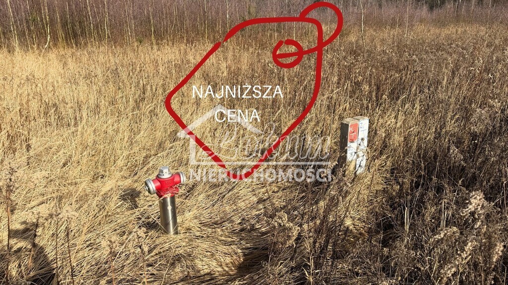 Działka rolna 1552&nbsp;m², Żółwia Błoć - zdjęcie 1