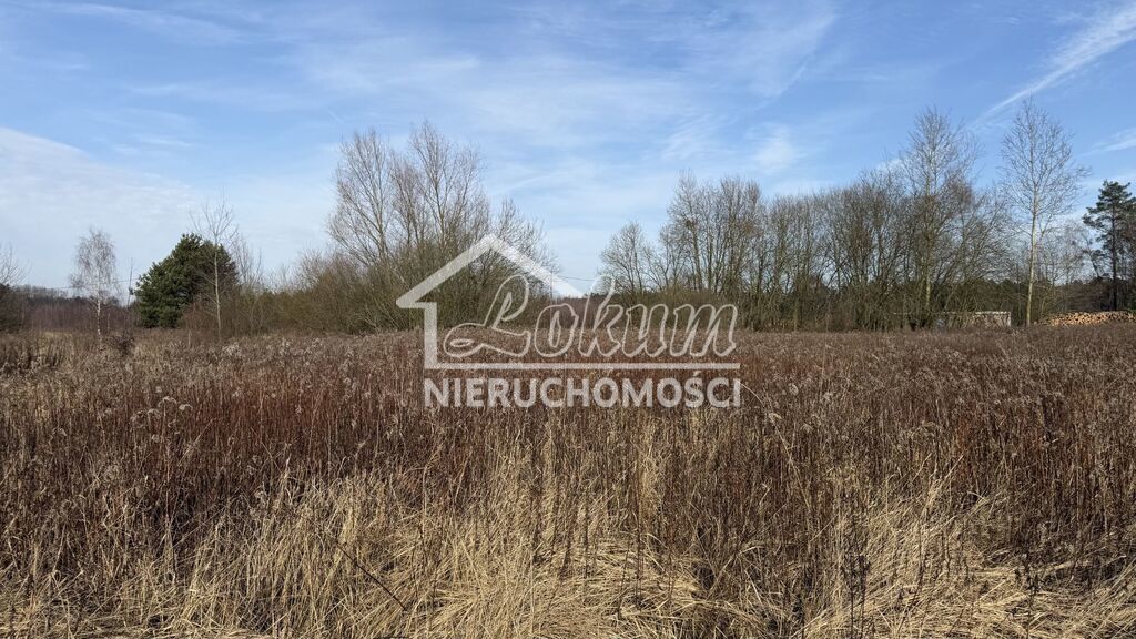 Działka rolna 1552&nbsp;m², Żółwia Błoć - zdjęcie 4