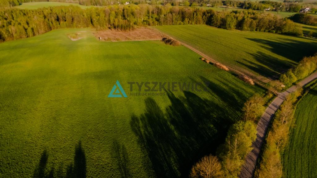 Atrakcyjna działka budowlana w miejscowości Puc! - zdjęcie 12