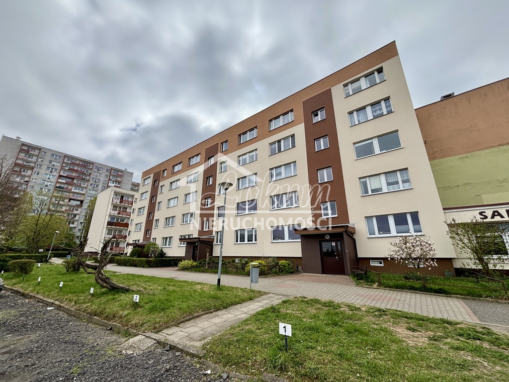 Mieszkanie 46&nbsp;m², Szczecin, Zawadzkiego-Klonowica, Władysława Szafera - zdjęcie 12