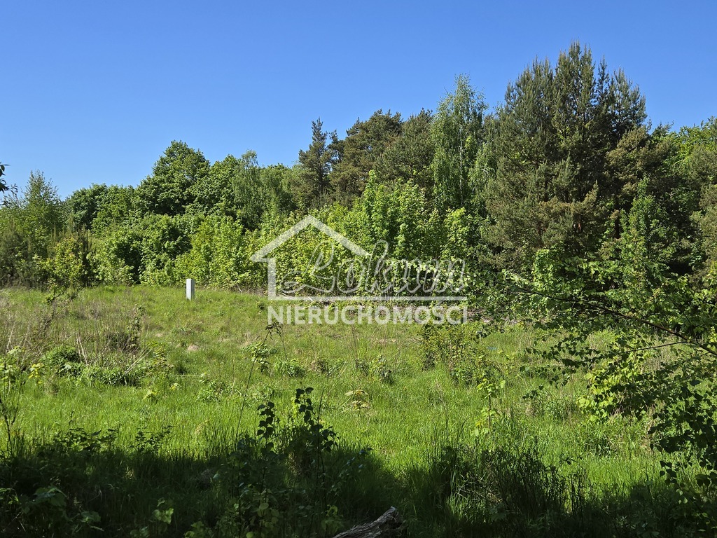 Działka budowlana 1149&nbsp;m², Wisełka, Ustronie Leśne - zdjęcie 6