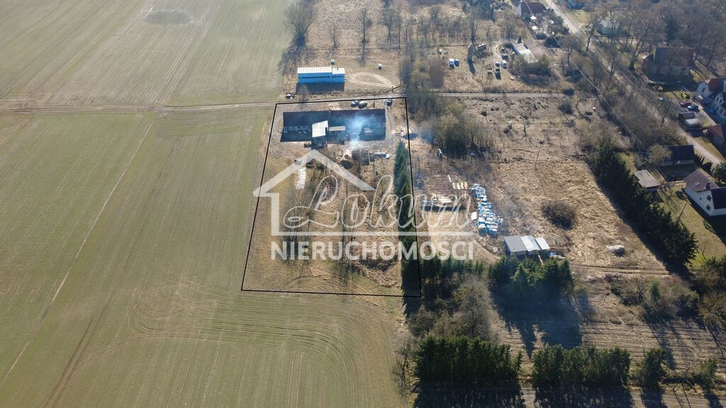 Działka inwestycyjna 5400&nbsp;m², Dzikowo - zdjęcie 5