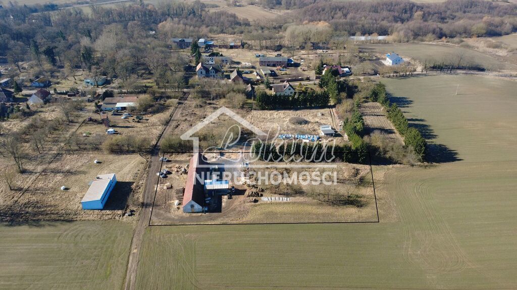 Działka inwestycyjna 5400&nbsp;m², Dzikowo - zdjęcie 1