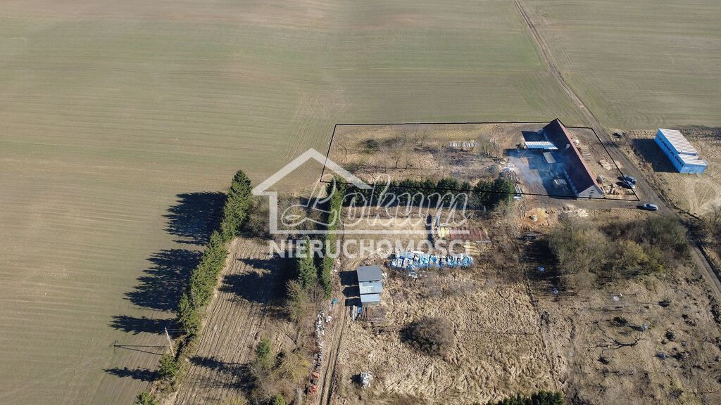 Działka inwestycyjna 5400&nbsp;m², Dzikowo - zdjęcie 3