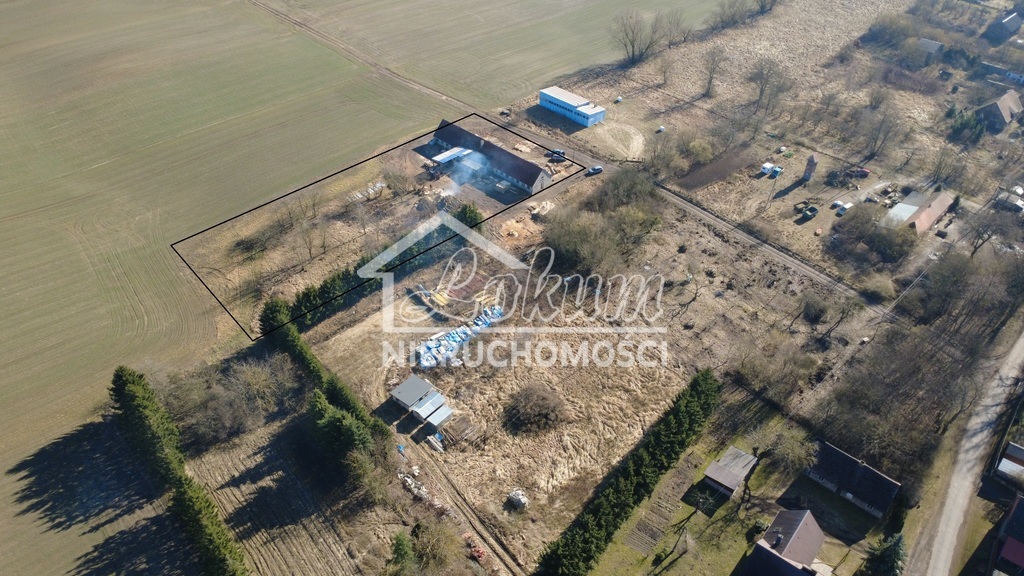 Działka inwestycyjna 5400&nbsp;m², Dzikowo - zdjęcie 4
